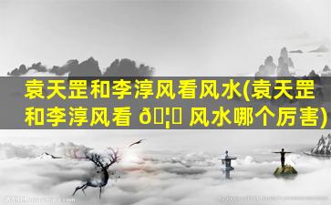 袁天罡和李淳风看风水(袁天罡和李淳风看 🦄 风水哪个厉害)